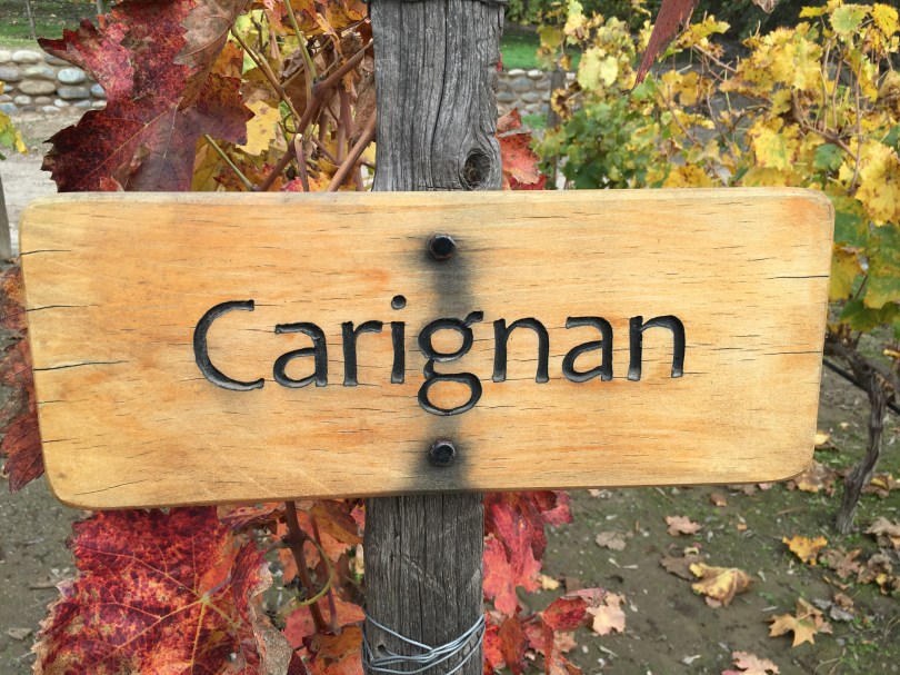 A carignon sign on a tour of the Concha Y Toro winery in Chile.