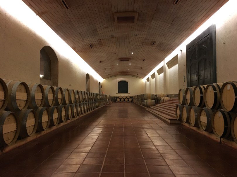 An image of the Concha Y Toro barrel room in Chile.