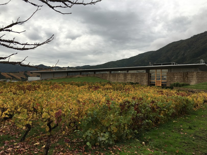 The Montes Wines winery in Apalta, Chile.
