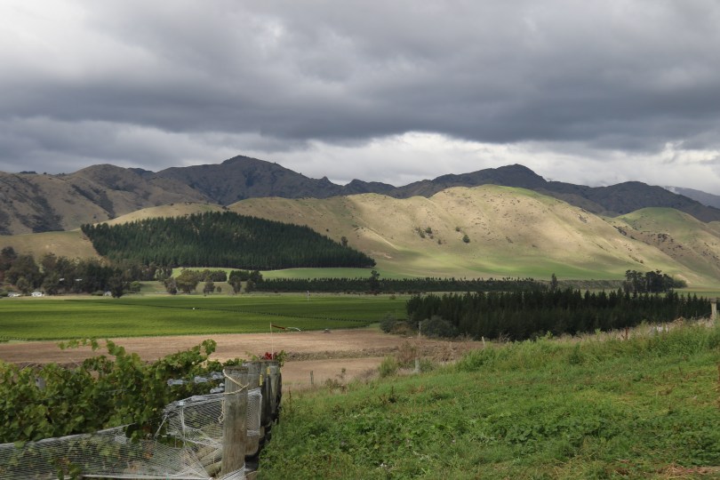 View from the Churton vineyard in Marlborough.