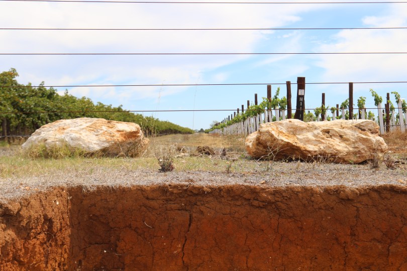 Soils and stone at the Wynns Coonawarra Estate in Australia.